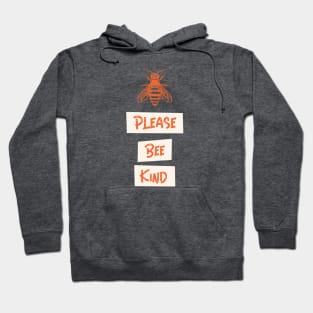 Be Kind - 2 Hoodie